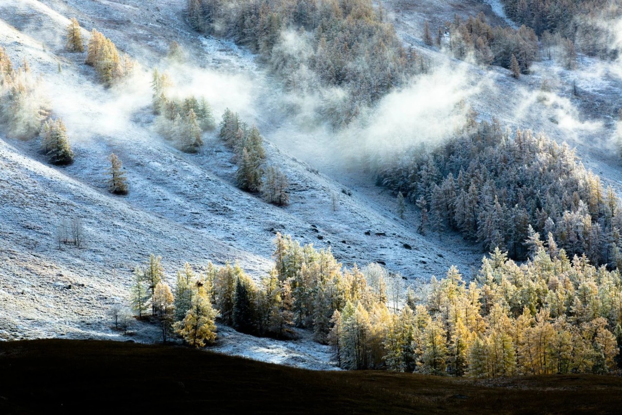 新疆，多元文化交融的青春印记