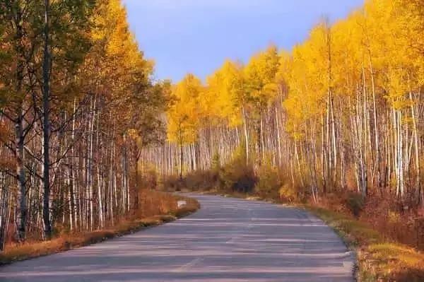 呼伦贝尔，草原明珠的自然赞歌